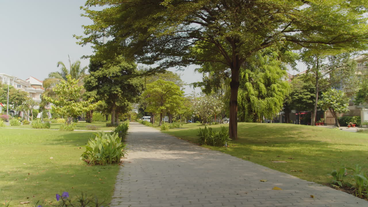 Diverse Sportspeople Running in City Park