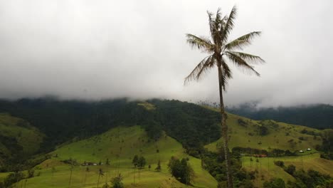visión superior del valle de cocora en los nevados