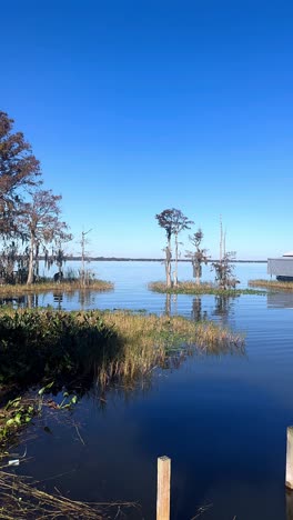 serene lakeside scenery