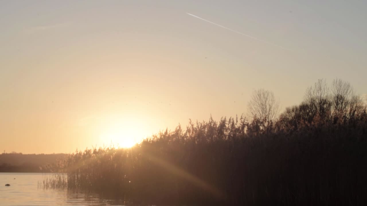 Rippling lake landscape with reeds at sunset