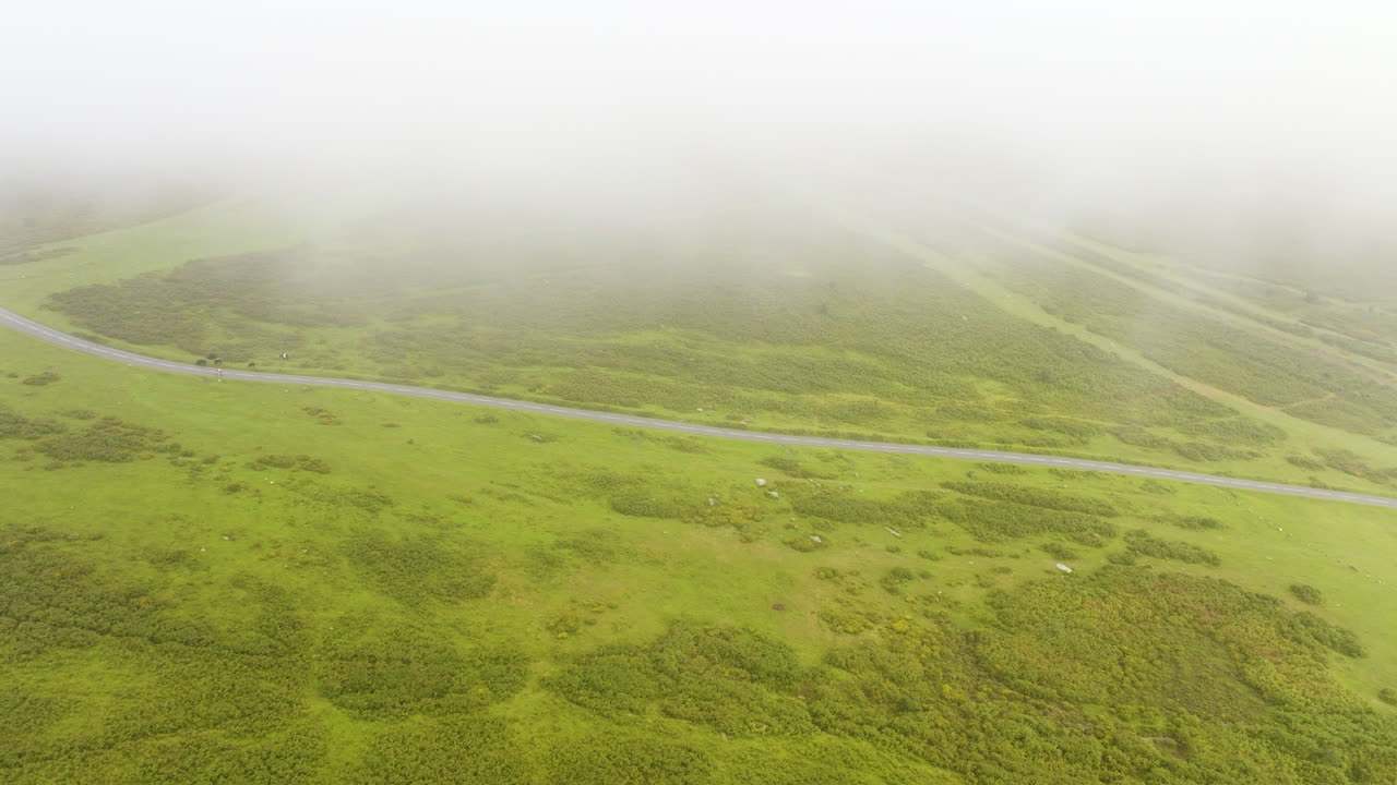 안개가 가득한 산길