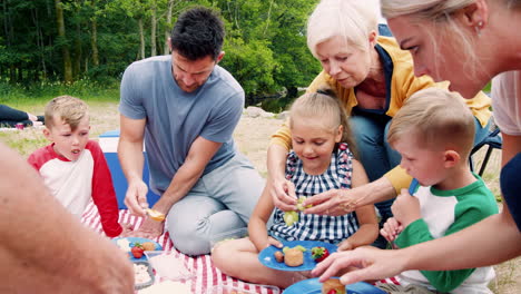 fotografía en cámara lenta de una familia de varias generaciones disfrutando de un picnic en el campo