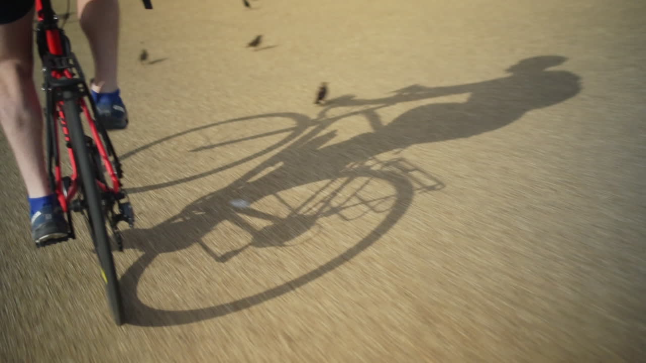 Shadow of a cyclist on pavement as bicycle passes birds, slow motion