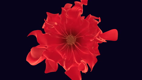flor roja con pétalos curvos sobre un fondo negro