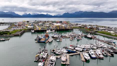 fast aerial homer alaska with mountains in background