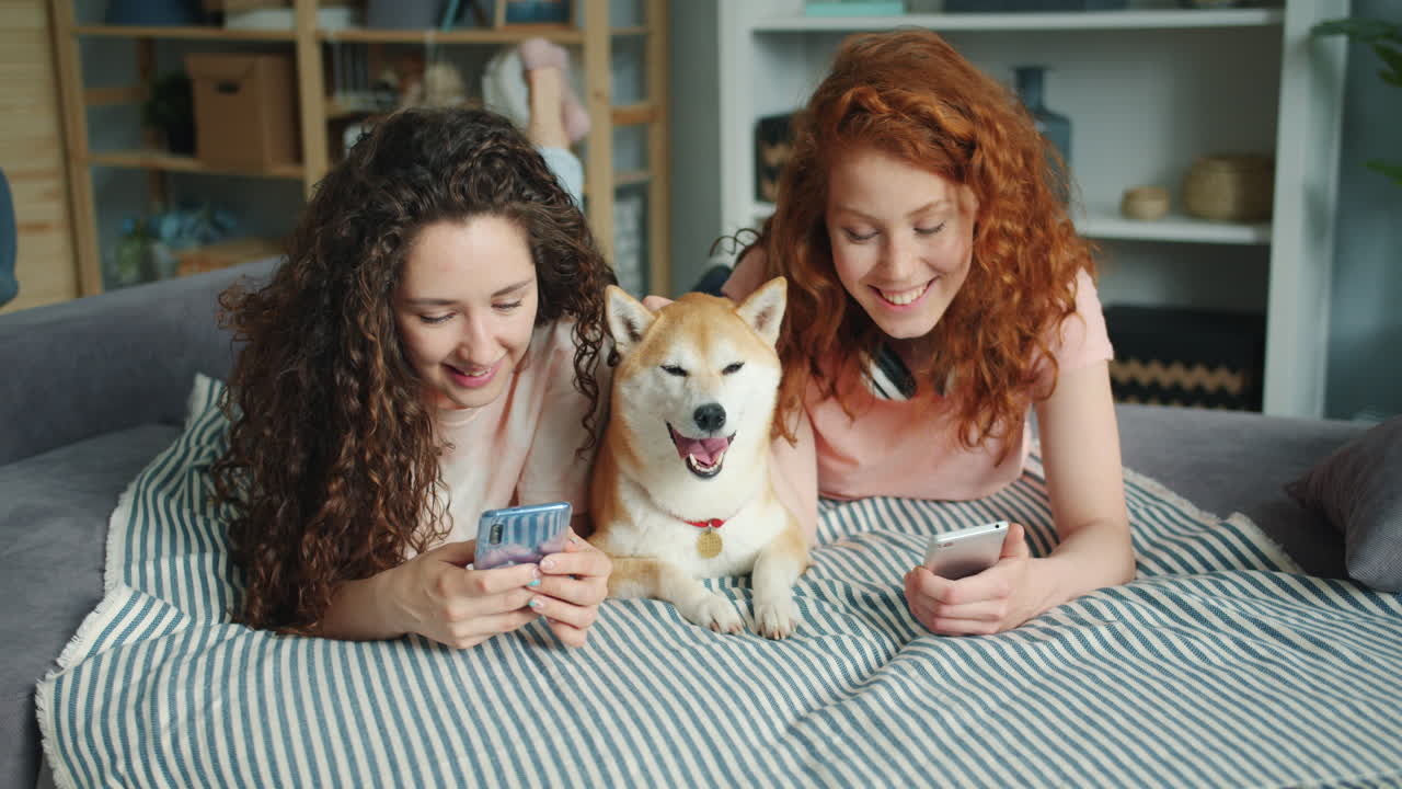 Friends Enjoying Smartphones and Dog on Couch
