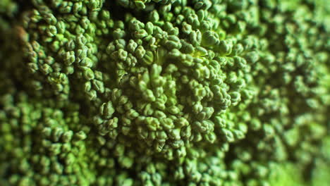 Green-broccoli-floret,-macro-close-up-slider-shot