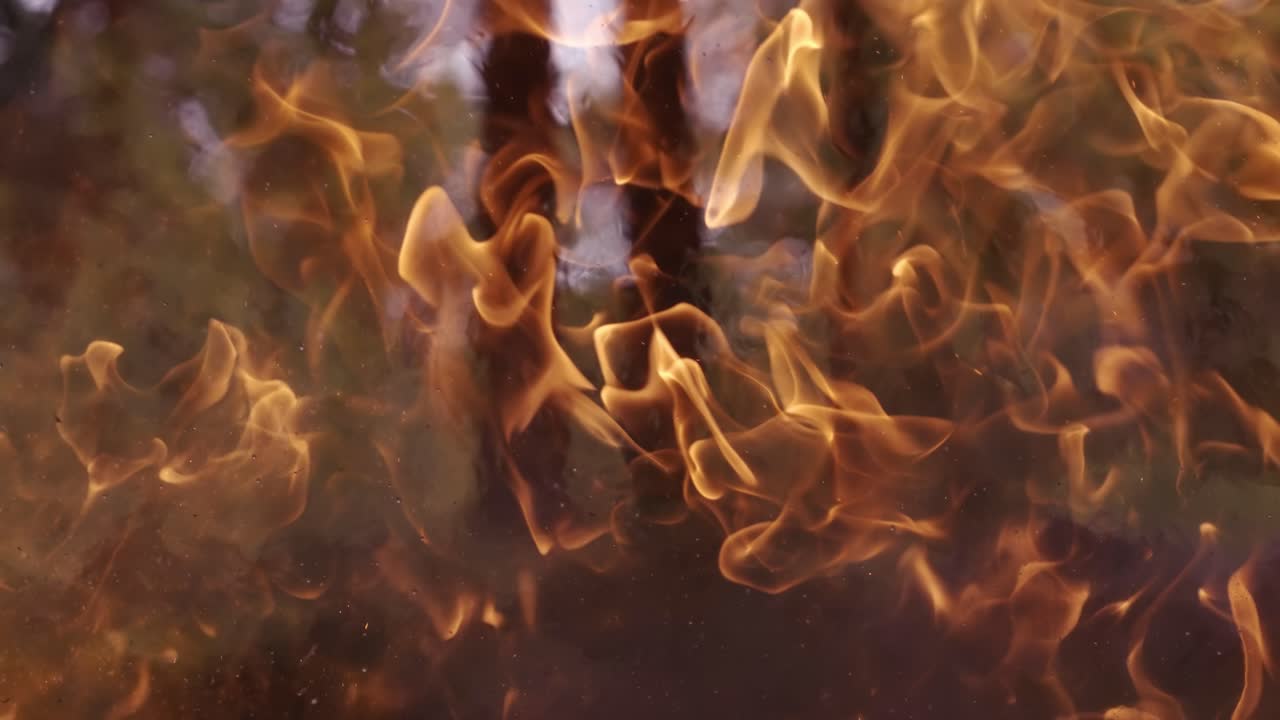 숲의 불꽃을 느린 동작으로 숲을 배경으로 슈퍼 슬로 모션 카메라 1000fps로 촬영합니다.