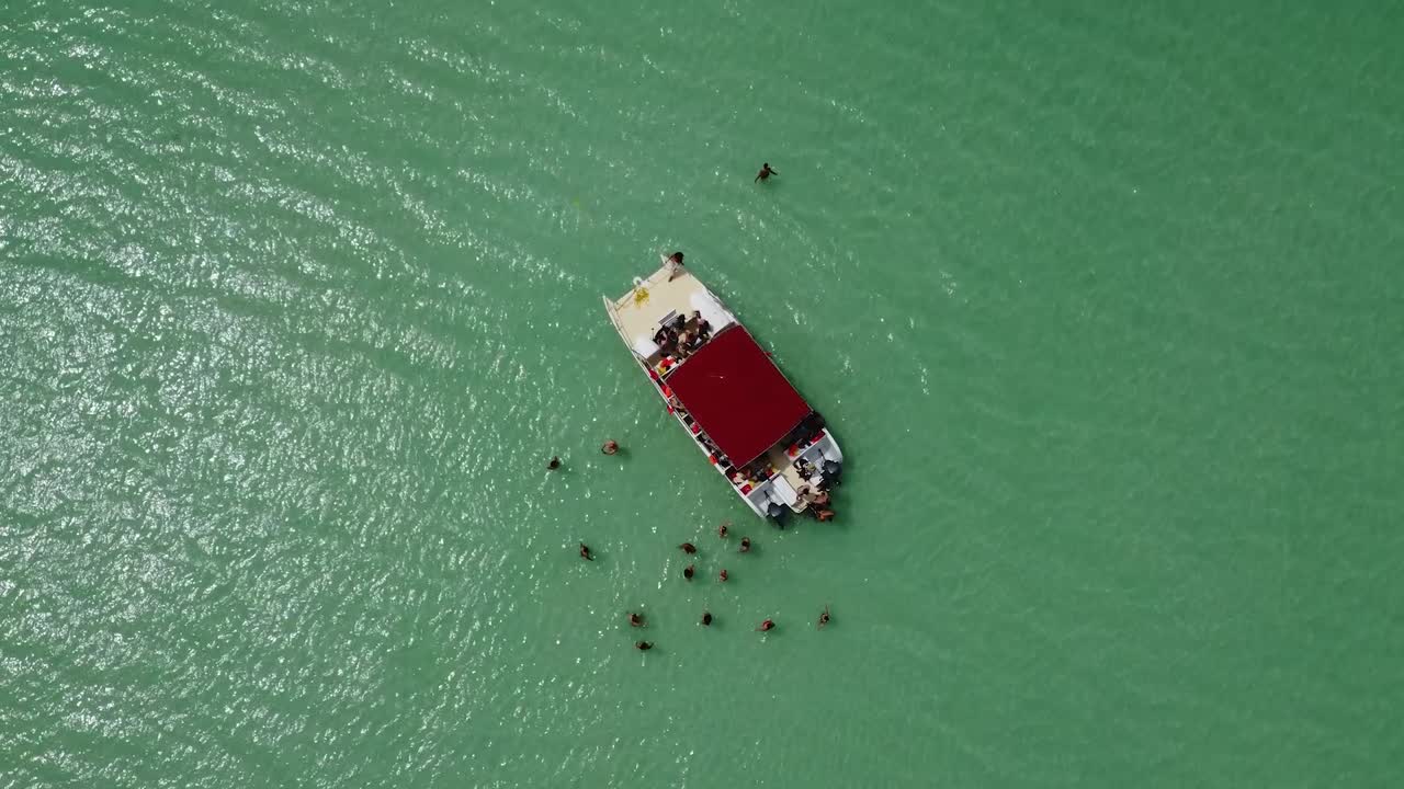 drone con vista de pájaro disparó sobre un barco turístico en el mar donde la gente está parada en el mar verde disfrutando del mar