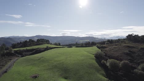 green valley in mountains surrounded by forest on sunny day