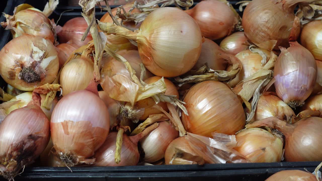 whole yellow onions at the Market