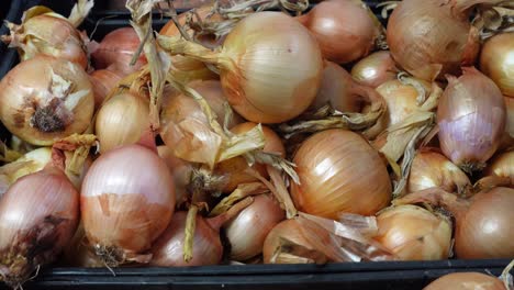 whole yellow onions at the market