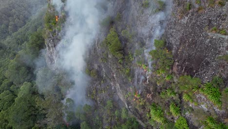 incendio forestal de humo cerca del valle de currumbin en la costa dorada, queensland, australia