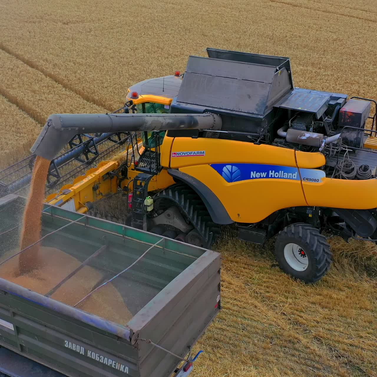 Combine unloading wheat into grain truck