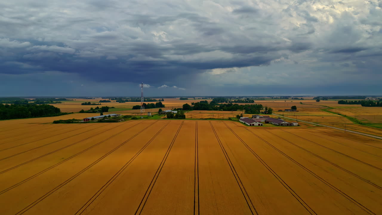 Golden wheat fields stretch under a dramatic cloudy sky, promising a stormy harvest