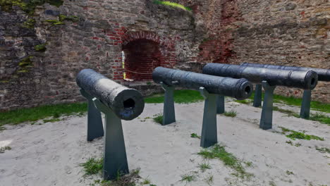 Cast-iron-cannon-collection-displayed-on-metal-support-stands-on-grassy-lawn-inside-of-Bauska-Castle