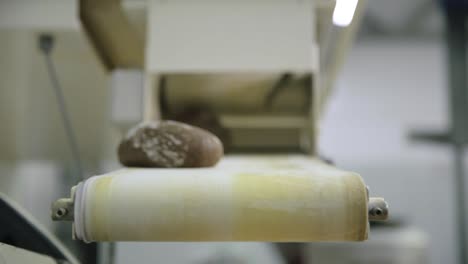 bread production on a conveyor belt in a bakery