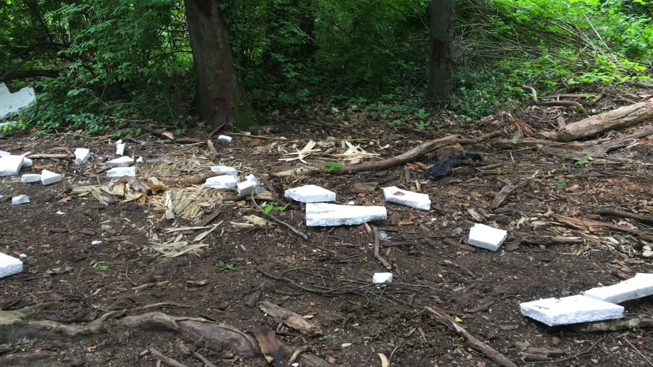 야생 동물 오염