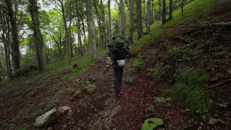 lombardy, italy - a mountaineer navigating through the forested slopes of grignetta - handheld shot