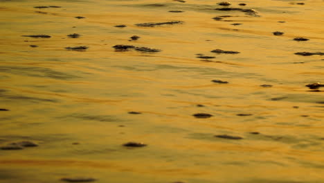 partículas de productos químicos o restos de espuma de champú en la costa arenosa del océano que son lavadas por olas, puesta de sol de la hora dorada