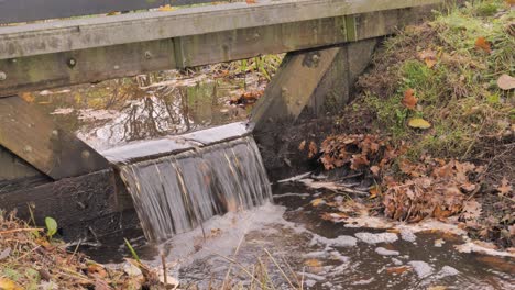 water flows over a wooden dam with fallen autumn leaves