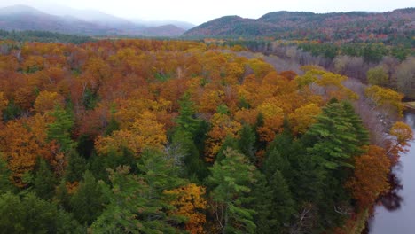 auburn colored forest foliage in new hamshire aerial