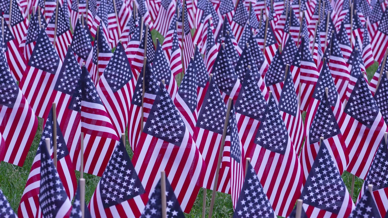 Close up of numerous small American flags planted in green grass for memorial day in Boston, USA