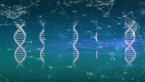 animation of dna strands spinning over networks of connections on blue background