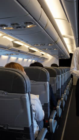 airplane cabin with passengers and flight attendant