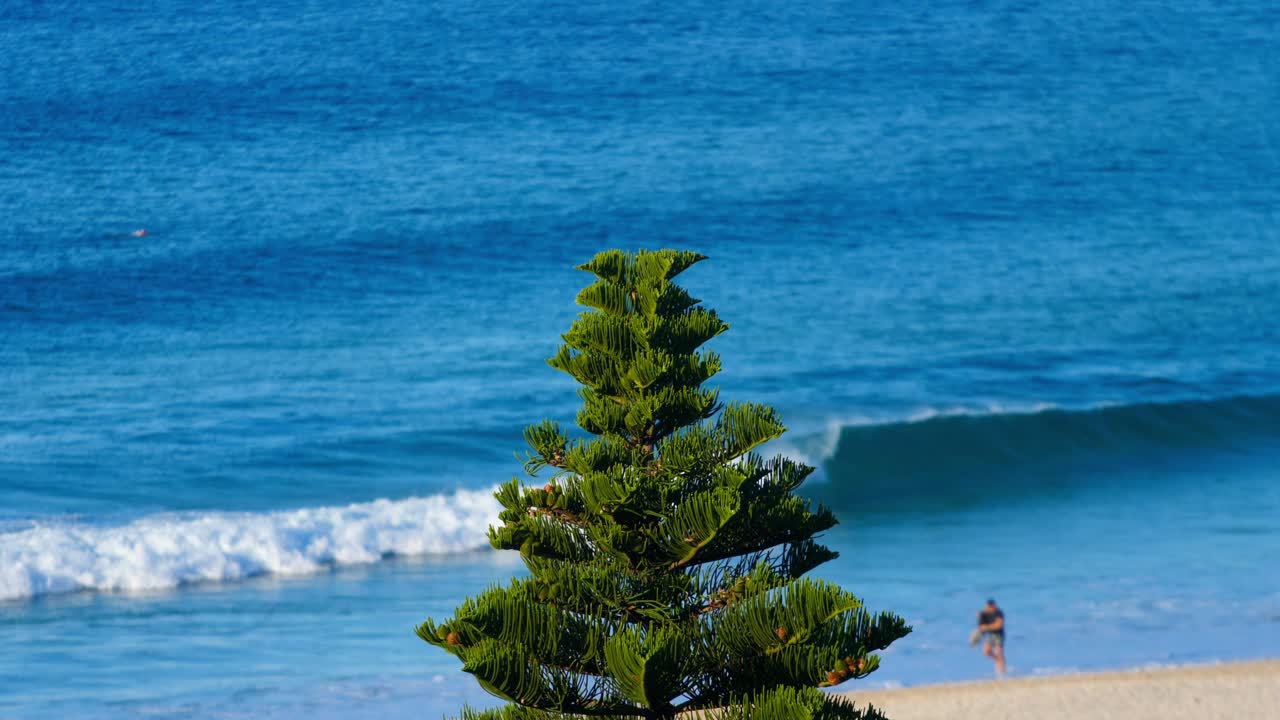 황금빛 모래와 푸른 파도가 있는 열대 해변