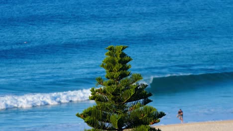playa tropical con arena dorada y olas azules