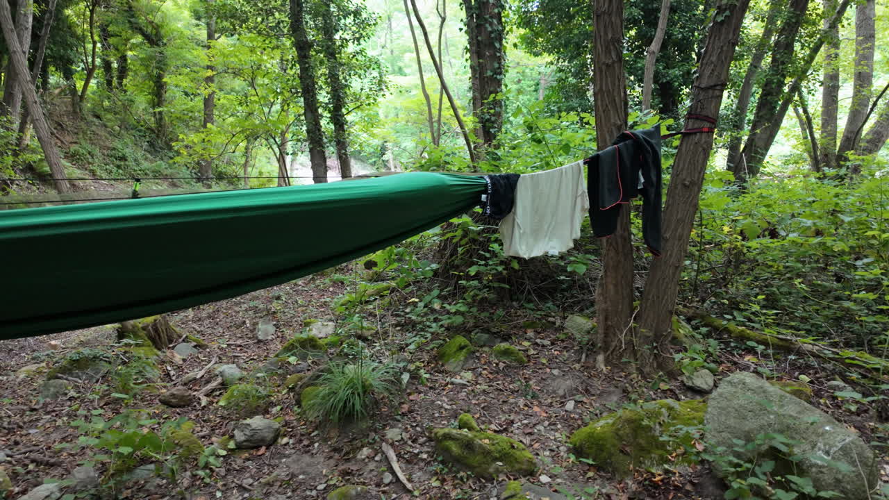 Green hammock in forest, calm and relaxing nature scene during daylight