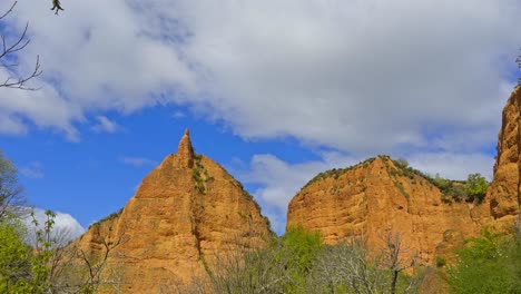 Gorgeous Golden Mountains Surrounded By Vegetation Behind A Bunch Of Trees