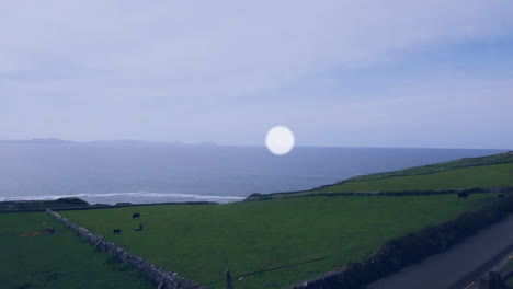 animation of network of profile icons against aerial view of a island and sea