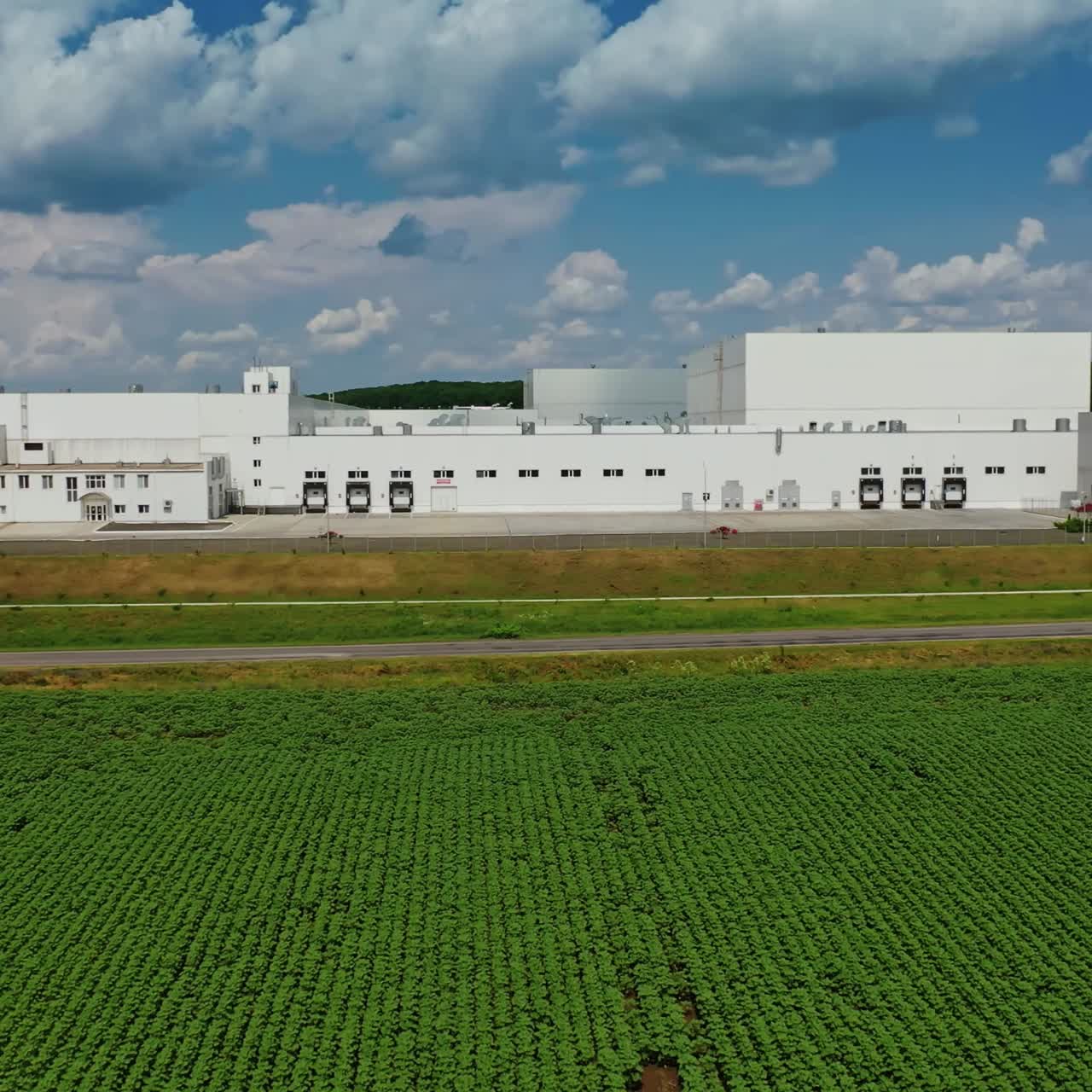 Modern industrial building. Exterior of white manufacturing on green field. Front view of a large factory. Aerial view. Camera moves forward.