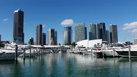 miami florida marina filled with boats against a stunning city skyline highlighting city life and. miami, florida, marina filled with boats against a stunning city skyline, highlighting city life and maritime charm