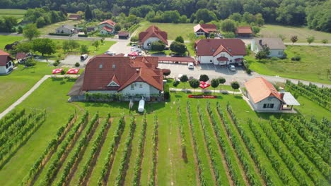 an aerial view of wine yards in slovenia in 4k