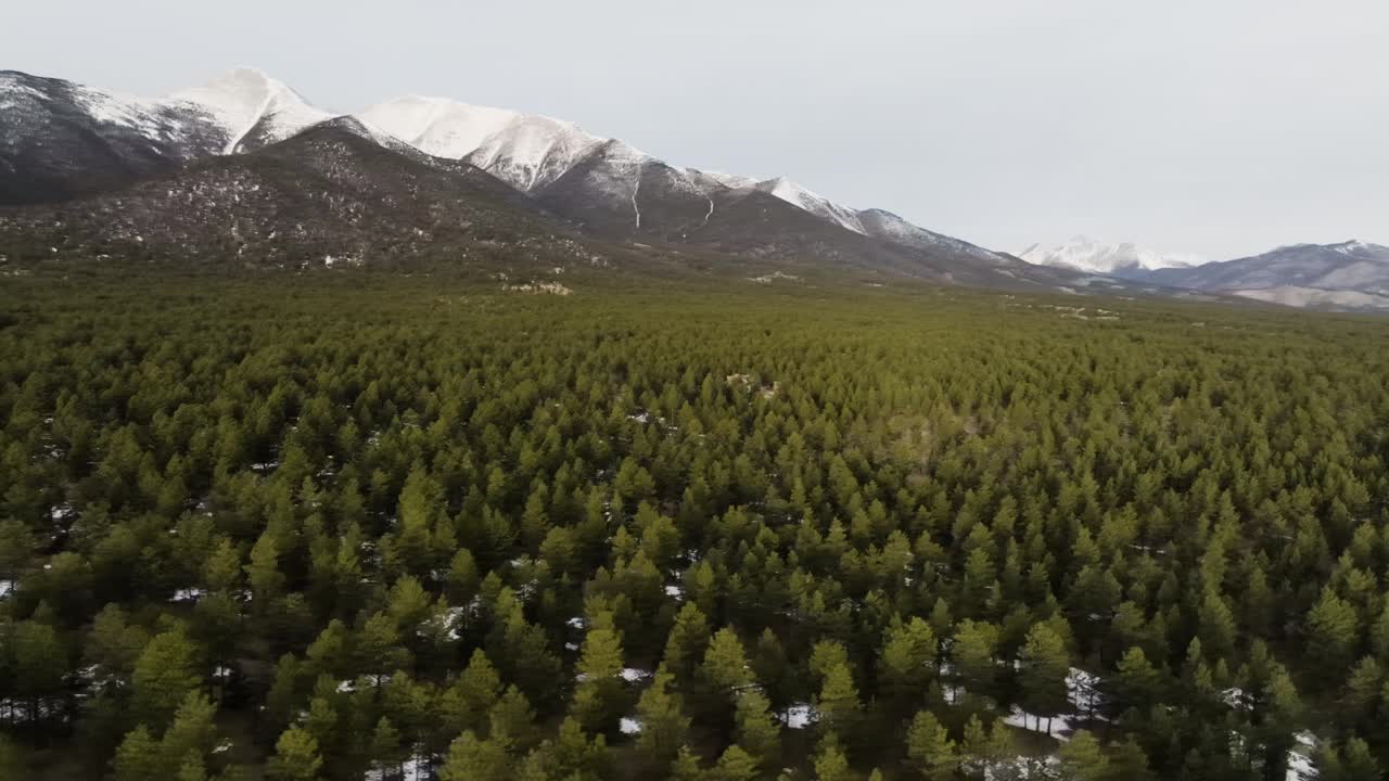 estableciendo un tiro de pinos en el monte princeton en las montañas rocosas en colorado durante el amanecer
