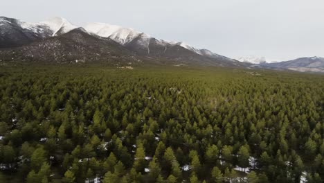 Toma-De-Establecimiento-De-Pinos-En-El-Monte-Princeton-En-Las-Montañas-Rocosas-De-Colorado-Durante-El-Amanecer