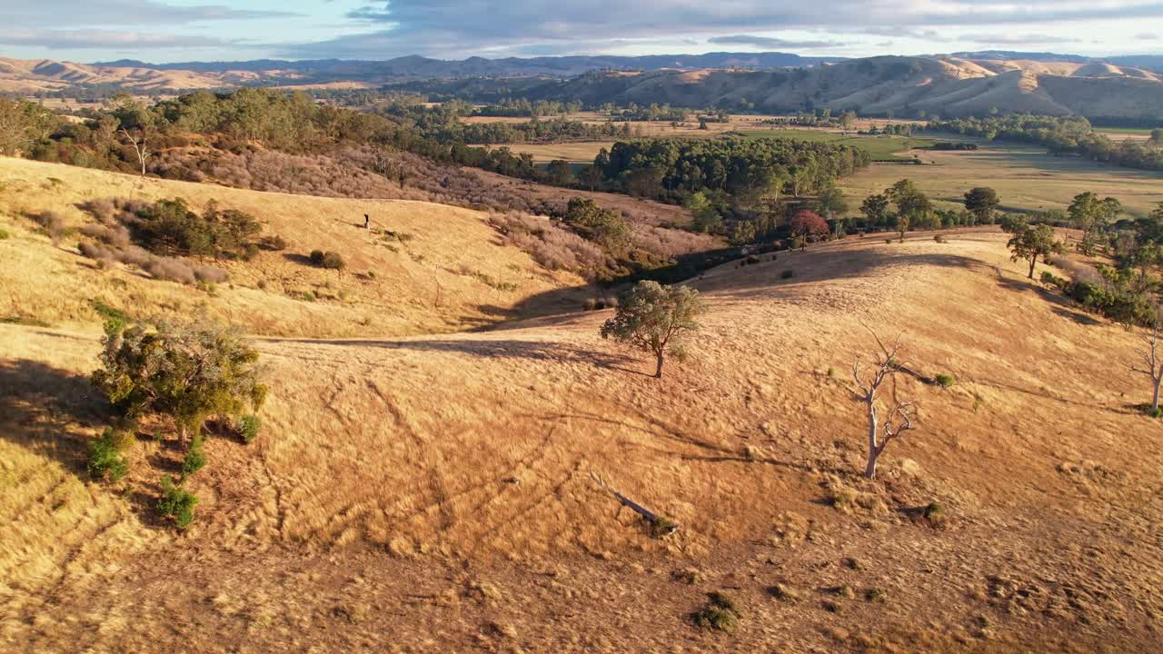 sobre barrancos iluminados por el sol de la mañana con tierras de cultivo y colinas en el fondo cerca de thornton, victoria, australia