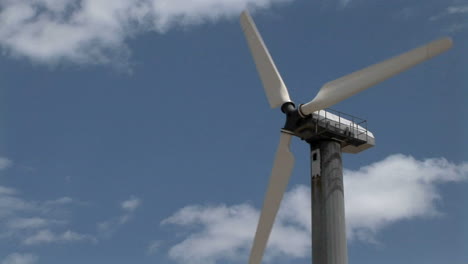 a wind turbine generates electricity
