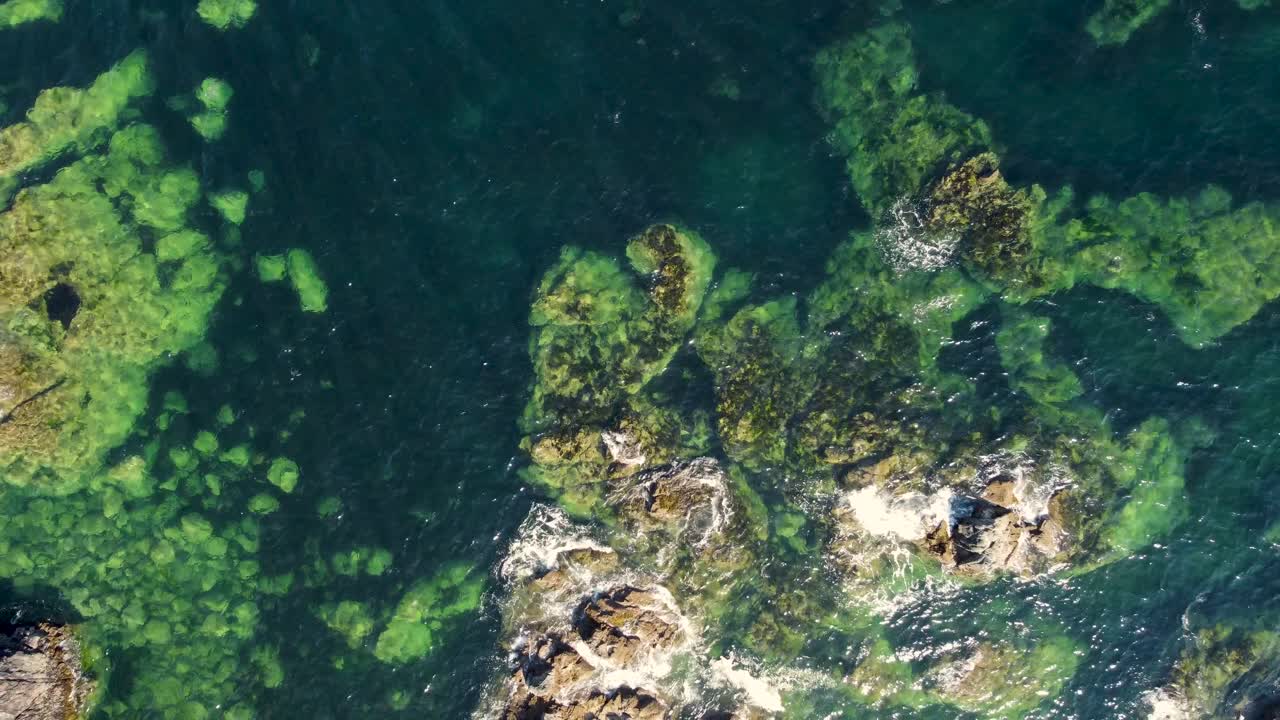 Costa marina sull'isola, veduta aerea da