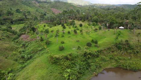 Drone-reveals-lush-jungle,-river,-and-mountains-as-a-bird-flies-by-and-a-canoe-floats-down-a-river-in-Madagascar-Africa