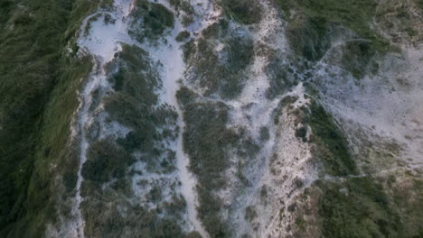 network of trails across sand dunes in denmark's coastal region