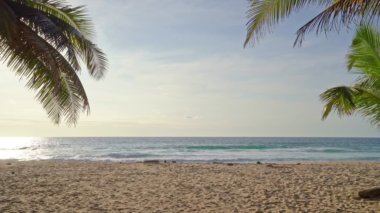 hermosas palmeras de coco en la playa phuket tailandia palmeras árboles marco al atardecer o amanecer fondo cielo palmeras en la playa con cielo azul fondo paisaje de verano