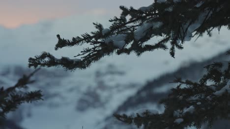 winter sunset in the canadian rockies