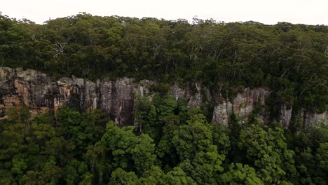 vista aérea de izquierda a derecha sobre las cataratas gemelas caminar en el parque nacional de springbrook, el interior de la costa de oro, queensland, australia