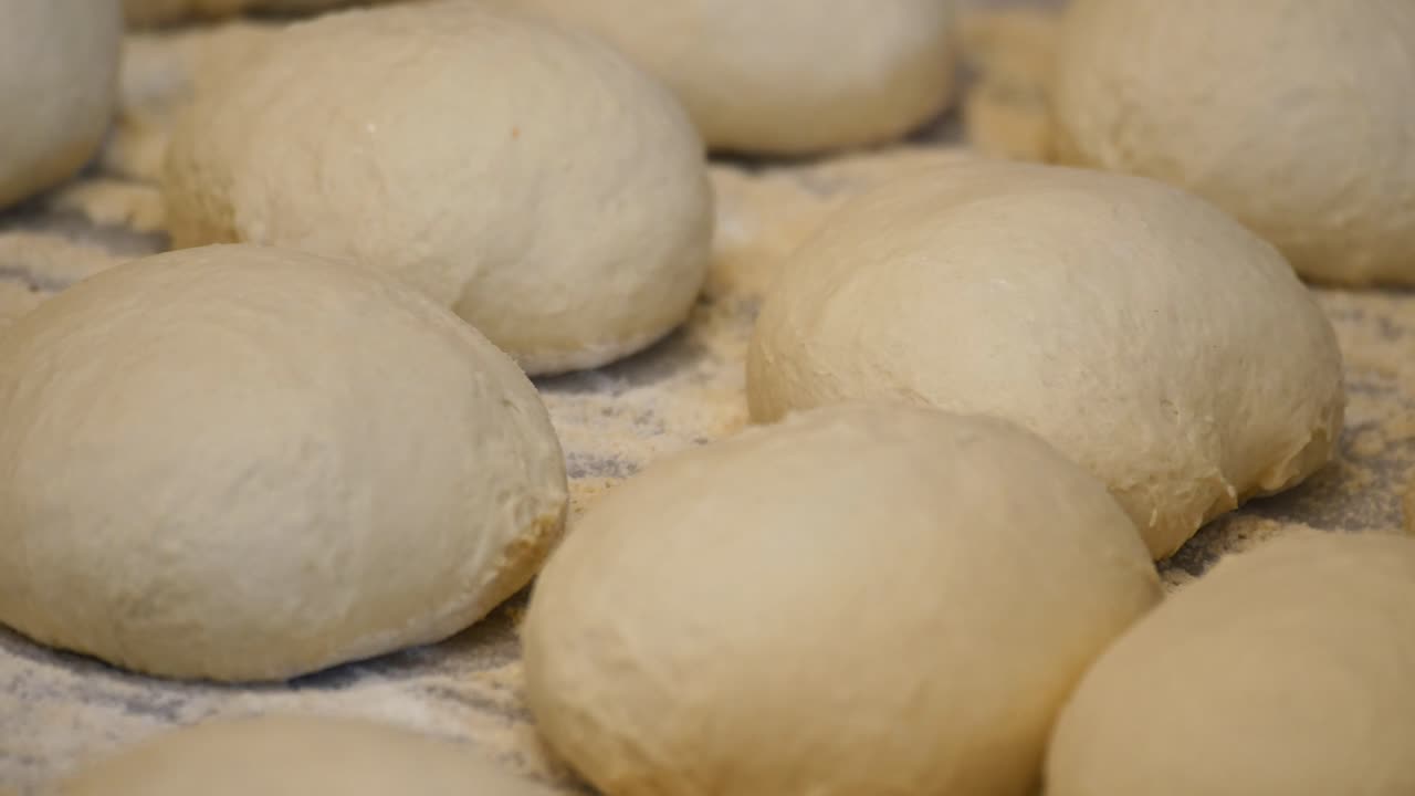 원시 반죽 어리