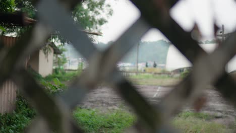 solid metal grid fencing shot with a shift of focus away from it