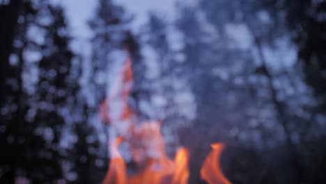 Fuego-Nocturno-Oscuro-Con-Cielo-Azul-Y-Destellos,-Fondo-Borroso-Y-árboles